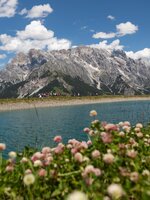 Blumen im Vordergrund, Menschen am Bergsee bei der Steinbockalm, dahinter das Hochkönigmassiv unter blauem Himmel. | © Roland Haschka