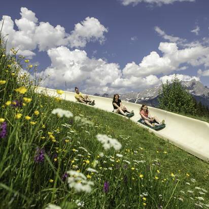Drei Personen fahren die Sommerrodelbahn Biberg hinunter, bunte Blumenwiese im Vordergrund, Berge im Hintergrund. | © Hochkönig / Roland Haschka