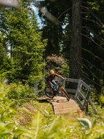 Ein Mountainbiker fährt über eine Holzbrücke im Wald bei der Bürglalmbahn in Dienten auf einem Downhill-Trail | © Hochkönig Bergbahnen