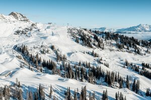 Skigebiet Shuttleberg mit geshapten Pisten, Liften, Wald und Bergen im Hintergrund