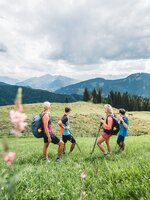 Fünf Wanderer gehen über blühende Almwiese mit Aussicht auf bewaldete Berge und Täler unter teils bewölktem Sommerhimmel | © Hochkönig Tourismus GmbH