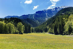 01 Hinterweiding, Foto Oczlon