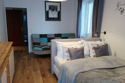 Living and sleeping room