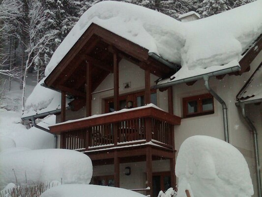 Haus Waldsicht - Winter/winter