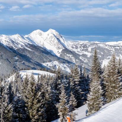 Two skiers descend on groomed panoramic slope in Dorfgastein, surrounded by snowy trees and alpine mountain view | © Dorfgasteiner Bergbahnen