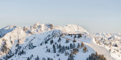 Snowy mountains and forests with groomed slopes, blue sky and afternoon light mood in Dorfgastein. | © Dorfgasteiner Bergbahnen