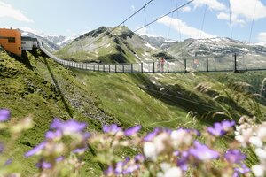 Two people on Stubnerkogel suspension bridge with blooming purple summer flowers in the foreground | © Gasteiner Bergbahnen, Marktl Photography