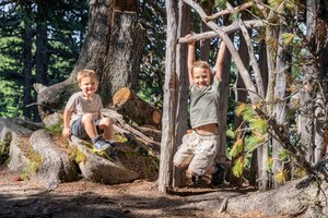Two kids playing in Graukogel's pine forest, one swinging from branches, the other smiling on a tree root | © Skigastein, seven frames