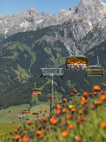 Orange chairlifts of Hochmaisbahn in summer, blooming alpine meadow in front, Hochkönig mountains in background. | © Roland Haschka