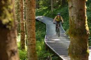 Mountain biker with helmet and gear rides a winding wooden trail through dense forest with sunlight filtering through trees. | © Roland Haschka