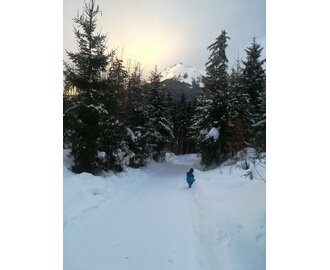 © TVB Schladming-Dachstein