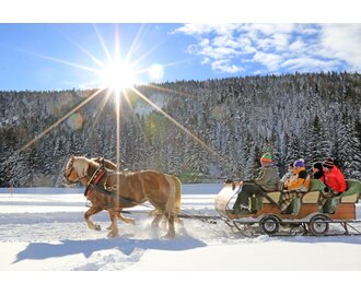 Pferdeschlitten | © Photo Austria/Martin Huber