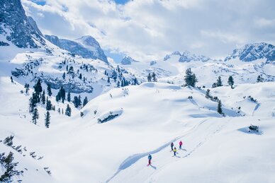 Vier Skitourengeher in winterlicher Berglandschaft mit verschneiten Hängen und Tannen. | © Markus Rohrbacher