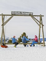 Ski tourers sit on large wooden swing with view of snowy alpine mountains