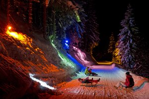 Bunte Lichter beleuchten Nachtrodelbahn mit Schlittenfahrern im Schnee. | © Herbert Raffalt