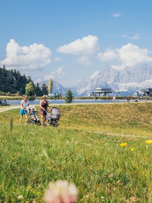 Families with strollers walk along a mountain lake on Reiteralm, surrounded by wildflowers, huts and the Dachstein Alps. | © Gerald Grünwald