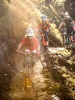 Vier Mountainbiker, darunter zwei Kinder, fahren bei Sonnenlicht auf einem schmalen Trail durch den Wald auf der Reiteralm. | © Reiteralm Bergbahnen, lorenzmasser.com