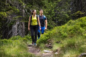 Zwei Wanderer gehen auf schmalem Waldweg durch grüne Wiesen und dichte Nadelbäume in Filzmoos im Sommer. | © filzmoos.ski_Christian Fischbacher