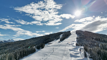 Ski slope framed by forest on a beautiful sunny day