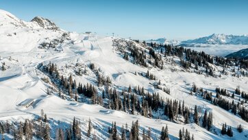 Shuttleberg ski area with shaped slopes, lifts, forest and mountains in the background