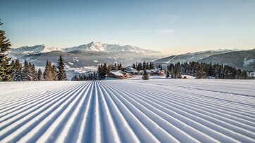 Perfectly groomed slope in Flachau with snowy trees and mountain panorama