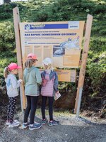 Three children with adventure passes read an info board about ptarmigans on the themed trail in Zauchensee. | © Matthias Fritzenwallner