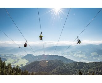 Drei Personen fliegen mit der Zipline am Stoderzinken über bewaldete Berge mit Blick auf das sonnige Ennstal | © Christoph Huber
