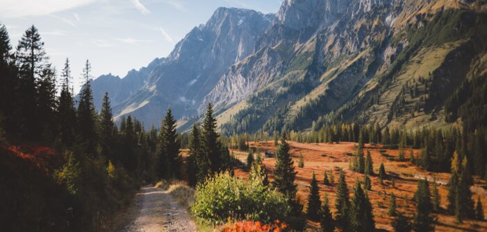 Herbstliche Landschaft verfärbten Bäumen und der Mandelwand im Bild. | © Hochkönig Tourismus GmbH