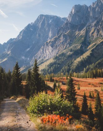 Herbstliche Landschaft verfärbten Bäumen und der Mandelwand im Bild. | © Hochkönig Tourismus GmbH