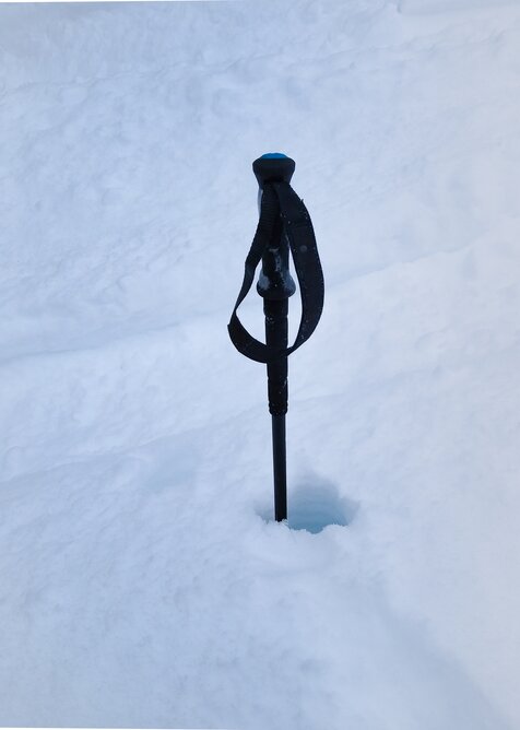 Black Diamond Razor Carbon Pro Ski Pole - Village Ski Loft