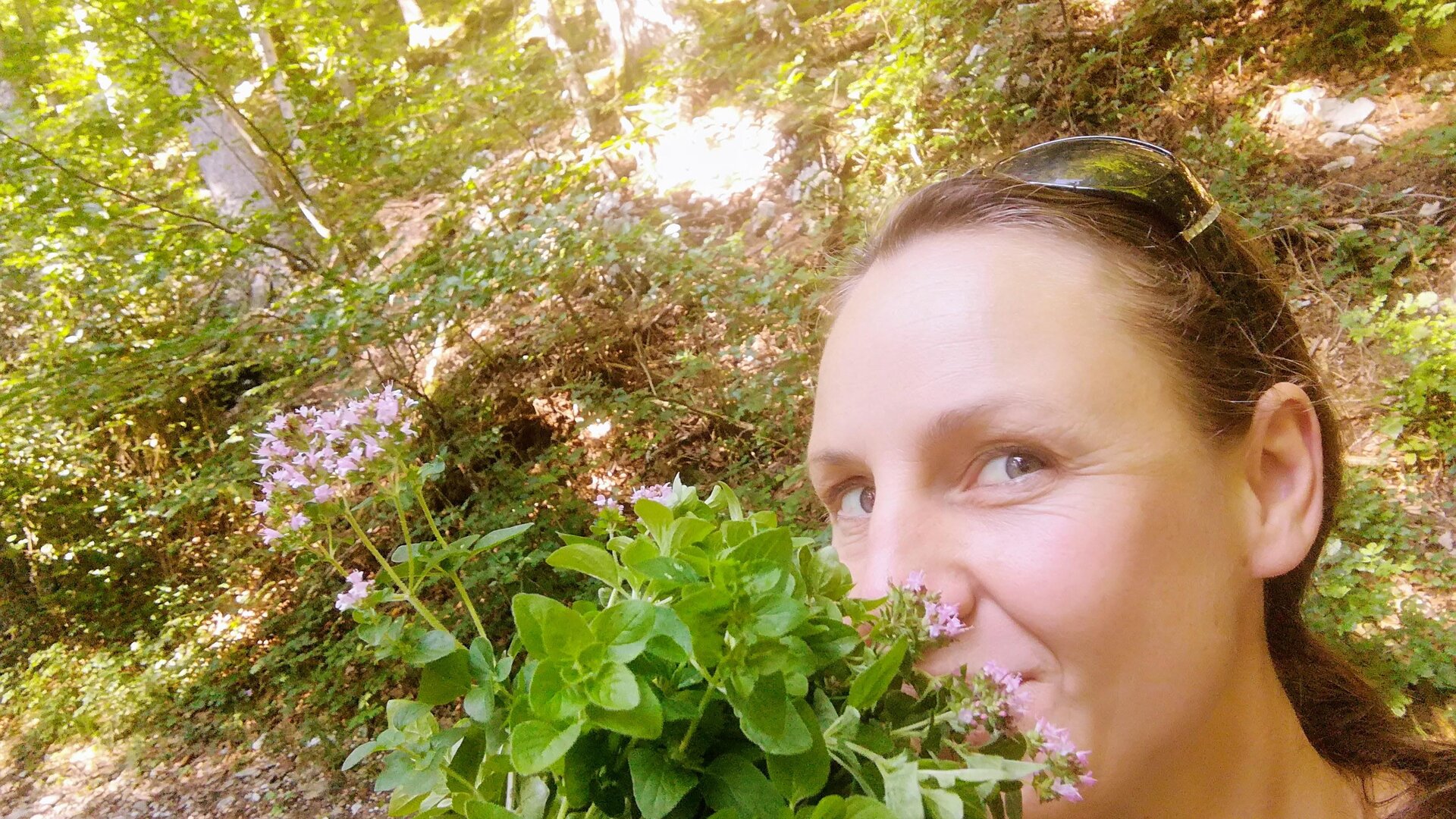 Almsinn | © Almsinn