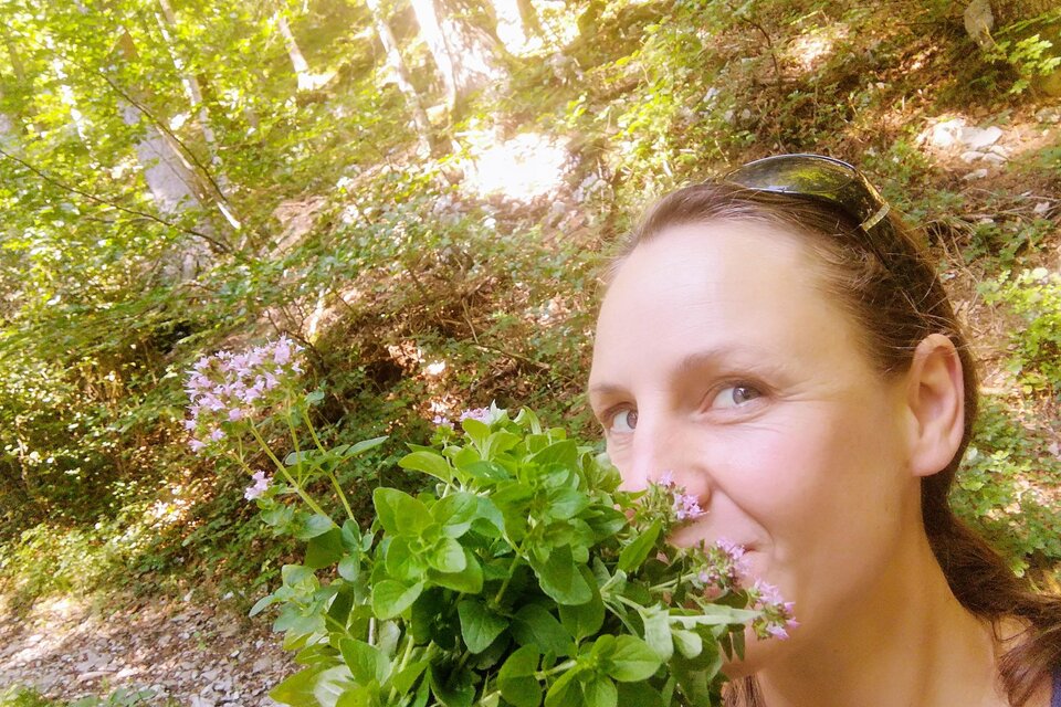 Almsinn | © Almsinn