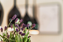 appartement-6_die-bergerin-0-149