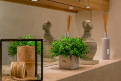 Penthouse Delo Maria Alm