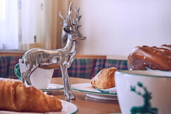 appartement-cplus-gross