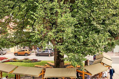 Markttag unter der Linde in Wagrain