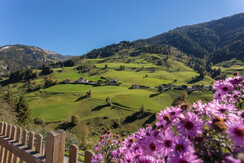 bauernhof-grossarltal-unterkunft-ferienwohnung-2