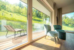 Type ONE quiet location with the view to Schladming