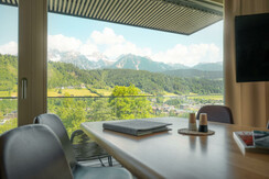 Typ ONE View towards the Dachstein