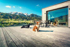 Loft - Fun for dogs at the generous rooftop terrace