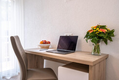 Work place / Apartments Davydov / Bad Hofgastein