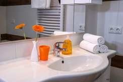 Bathroom / Apartments Davydov / Bad Hofgastein