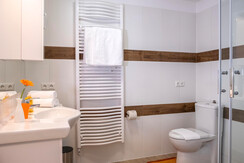 Bathroom / Apartments Davydov / Bad Hofgastein