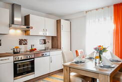 Kitchen / Apartments Davydov / Bad Hofgastein