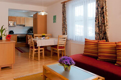 kitchen/dining/living