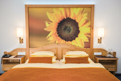 eh_ECO,CLA,CLAP_PB_5963