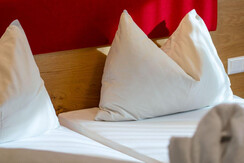 zimmer-enzian-felsners-hotel-und-restaurant-25-11-