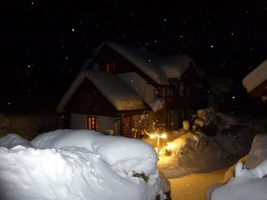 Haus Waldsicht Winter / winter
