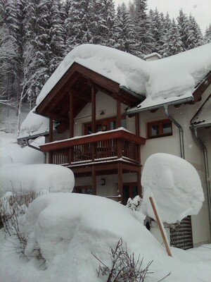 Ferienhaus Waldsicht - Winter