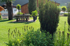 Verweilen unterm Apfelbaum